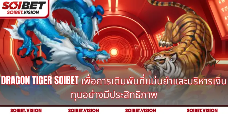 Dragon Tiger SOIBET เพื่อการเดิมพันที่แม่นยำและบริหารเงินทุนอย่างมีประสิทธิภาพ