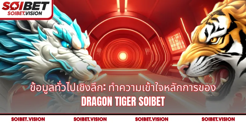 ข้อมูลทั่วไปเชิงลึก: ทำความเข้าใจหลักการของ Dragon Tiger SOIBET